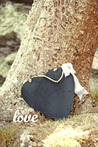 LOVE At Base Of Tree